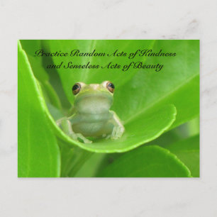 Random Acts of Kindness Postcard - Green Tree Frog Postkarte