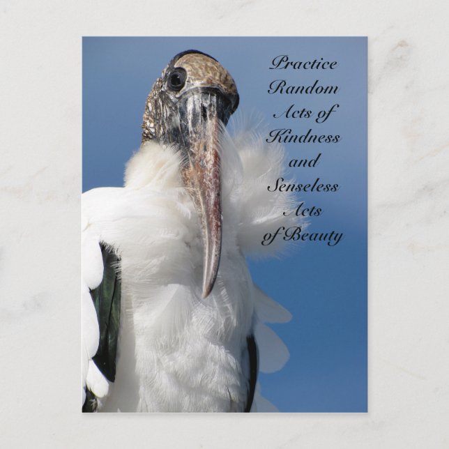 Random Acts of Kindness Postcard - Holzstorch Postkarte (Vorderseite)