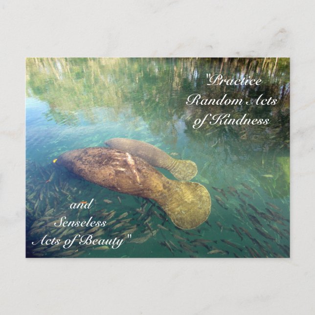Random Acts of Kindness Postcard - Manatee Postkarte (Vorderseite)