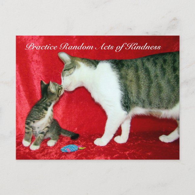 Random Acts of Kindness Postcard - Sind Sie mein V Postkarte (Vorderseite)