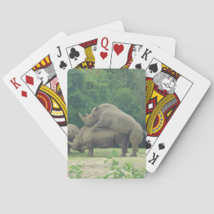 Randy Rhinos Spielkarten
