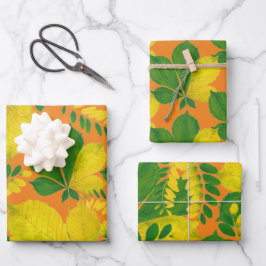 'Rang De Basanti' auf einem Set zum Umpackpapier Geschenkpapier Set