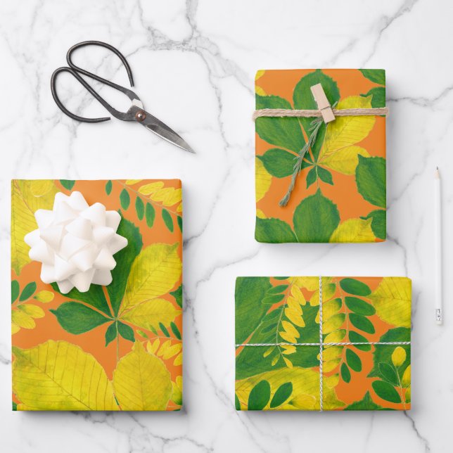 'Rang De Basanti' auf einem Set zum Umpackpapier Geschenkpapier Set (Vorderseite)