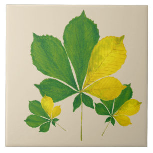 'Rang De Basanti' auf einer Keramik (I) Fliese