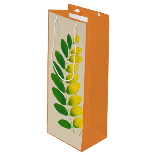 'Rang De Basanti' sur un sac cadeau (Devant Angle)