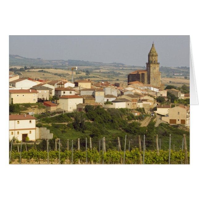 Rangées de vignes au premier plan cadre le (Devant horizontal)
