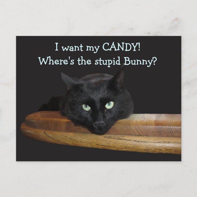 Ranger Le Lapin Stupide Carte de Pâques (Devant)