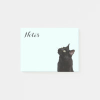 Ranger the Black Cat