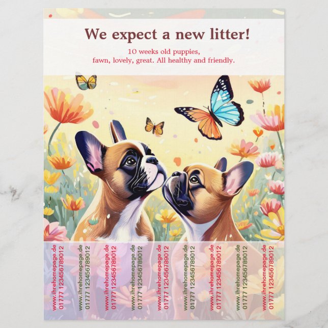 Rangez le prospectus des chiots français Buldog (Devant)