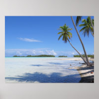 Rangiroa Blue Lagoon Palmen