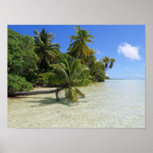 Rangiroa Palm Trees Poster