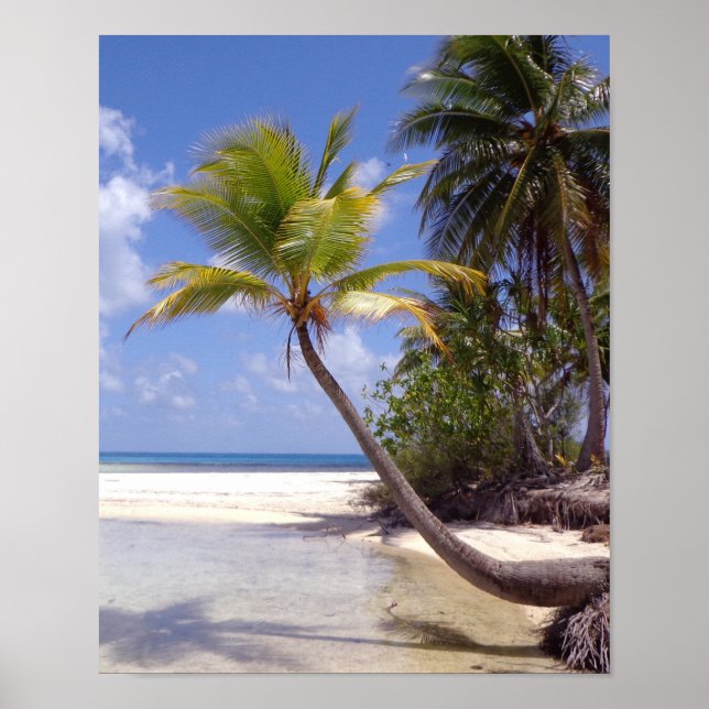 Rangiroa-Plakat Poster (Vorne)