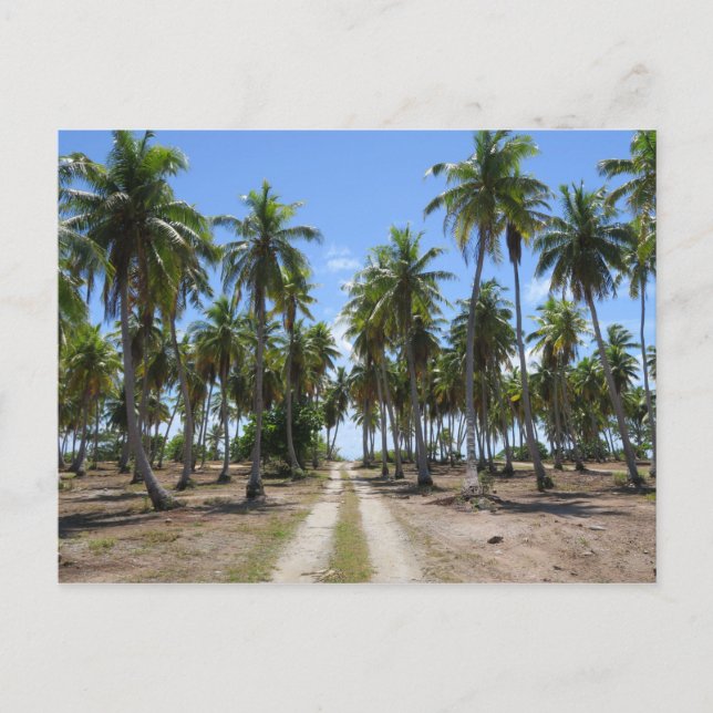 Rangiroa Weg ins Paradies Postkarte (Vorderseite)