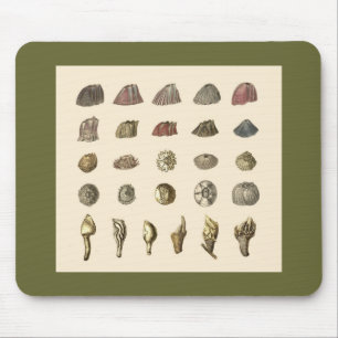 Rankenfußkrebs mousepad