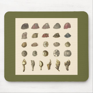 Rankenfußkrebs mousepad