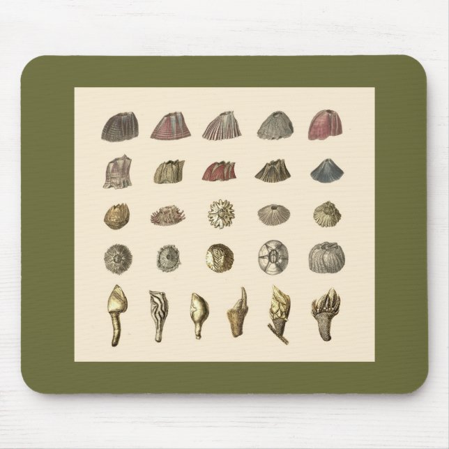 Rankenfußkrebs mousepad (Vorne)