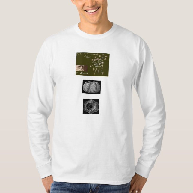 Rankenfußkrebs-T-Shirt T-Shirt (Vorderseite)