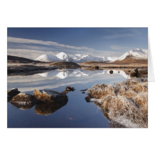 Rannoch amarrent