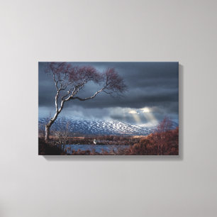 Rannoch Moor Einsamer Baum Leinwanddruck