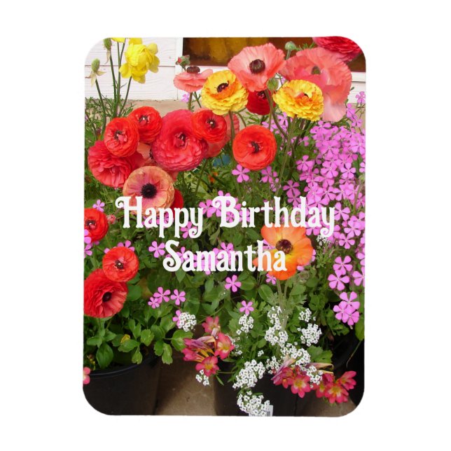 Rannunculus Spring Blume Blume Blumengeburt Magnet (Vertikal)