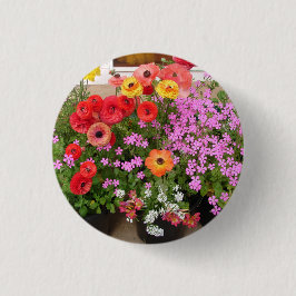 Rannunculus Spring Bulbs Blume Blume Button