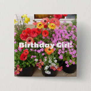 Rannunculus Spring Bulbs Blume Blume Button