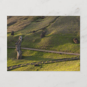 Rano Raraku, Rapa Nui, Osterinsel, Chile Postkarte