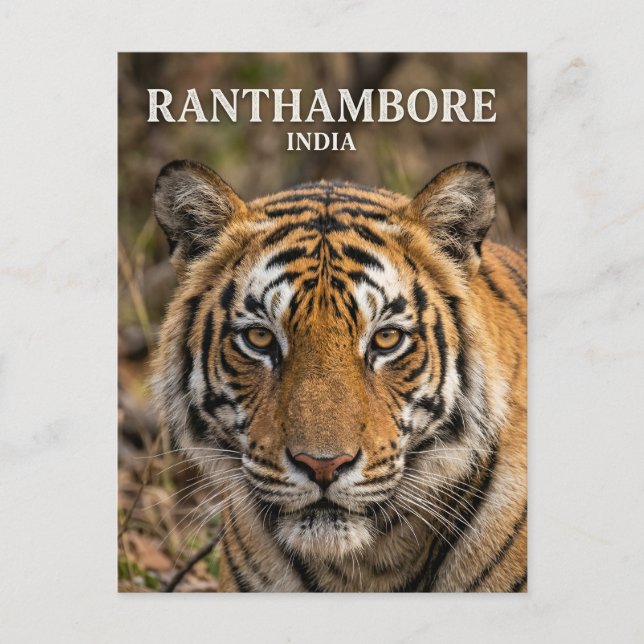 Ranthambore-Nationalpark Indien Postkarte (Vorderseite)