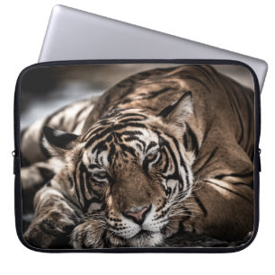Ranthambourtiger: nah-up fine art. laptopschutzhülle
