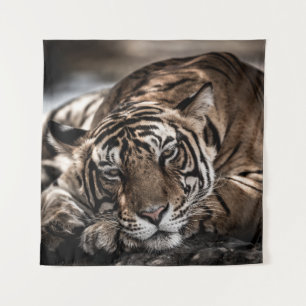 Ranthambourtiger: nah-up fine art. wandteppich