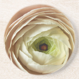 Ranunculus-Blume Getränkeuntersetzer