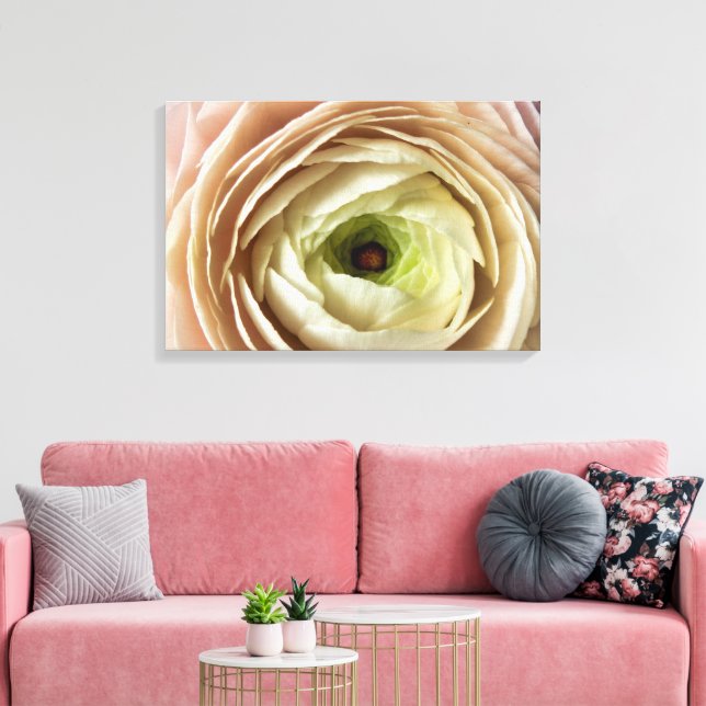 Ranunculus-Blume Leinwanddruck (Insitu (Wohnzimmer))