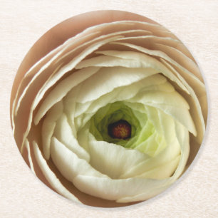 Ranunculus-Blume Runder Pappuntersetzer