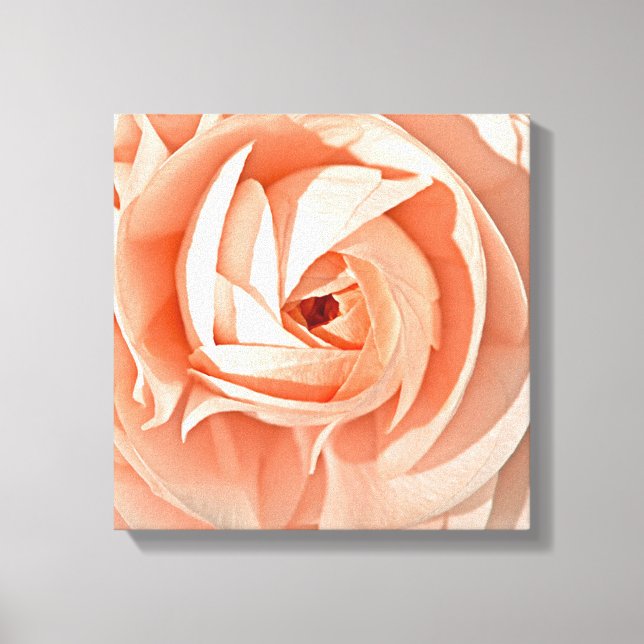 Ranunculus Swirl Leinwanddruck (Vorderseite)