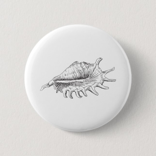 Rapana Seashell Button (Vorderseite)
