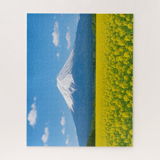 Rapeseed Field and Snowy Alps