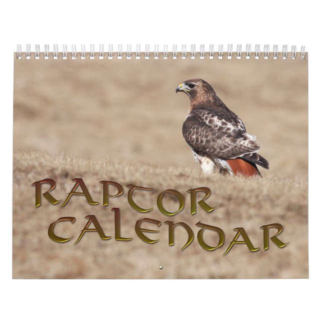 Rapid Calendar Kalender (Titelbild)