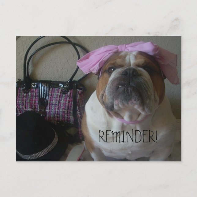 RAPPEL DE CARTE POSTALE BULLDOG ANGLAIS (Devant)