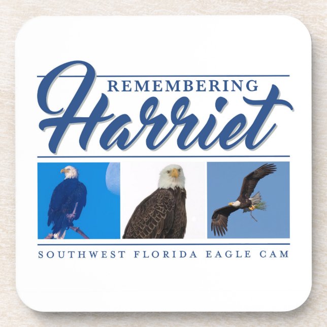 Rappel de Harriet SWFL Eagle Cam Dessous de verre  (Devant)
