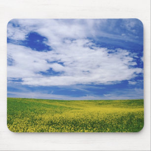Raps- oder Senfblumenfeld, Palouse Mousepad