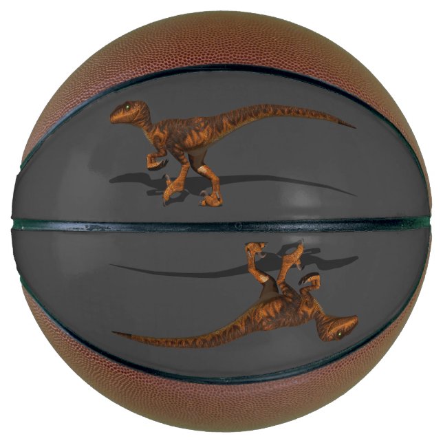 Raptor 1 3D Basketball (Vorderseite)