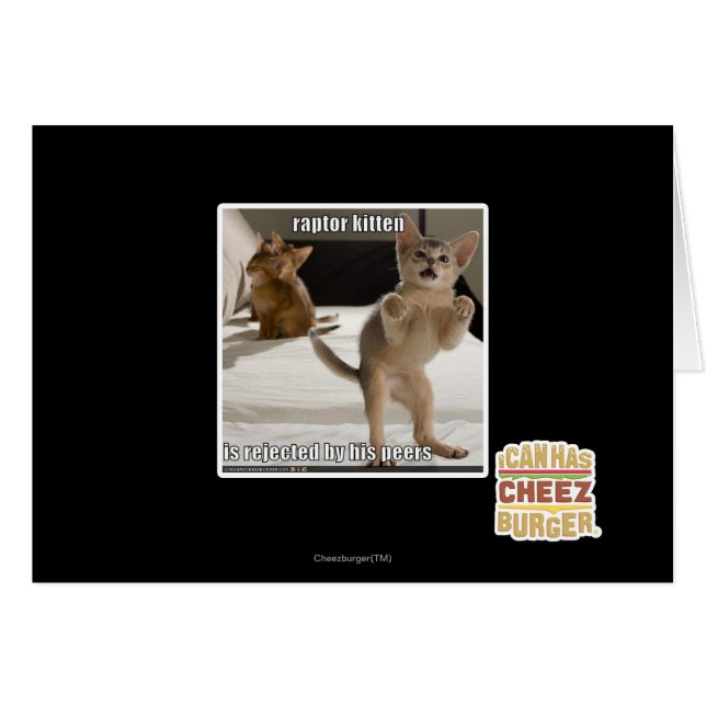 Raptor Kitten (Vorderseite (Horizontal))