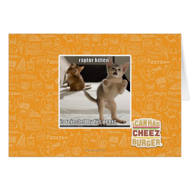 Raptor Kitten (Vorderseite (Horizontal))
