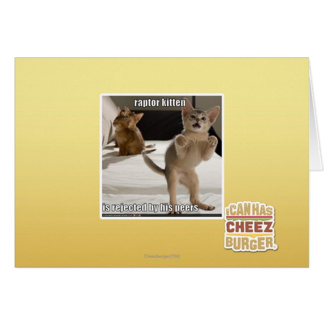 Raptor Kitten (Devant horizontal)