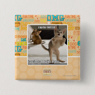 Raptor Kitten Button