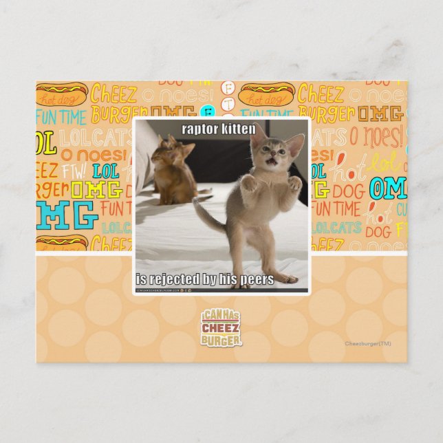 Raptor Kitten Postkarte (Vorderseite)