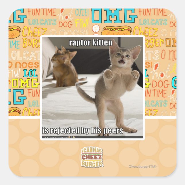 Raptor Kitten Quadratischer Aufkleber (Vorderseite)