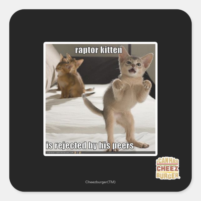Raptor Kitten Quadratischer Aufkleber (Vorderseite)