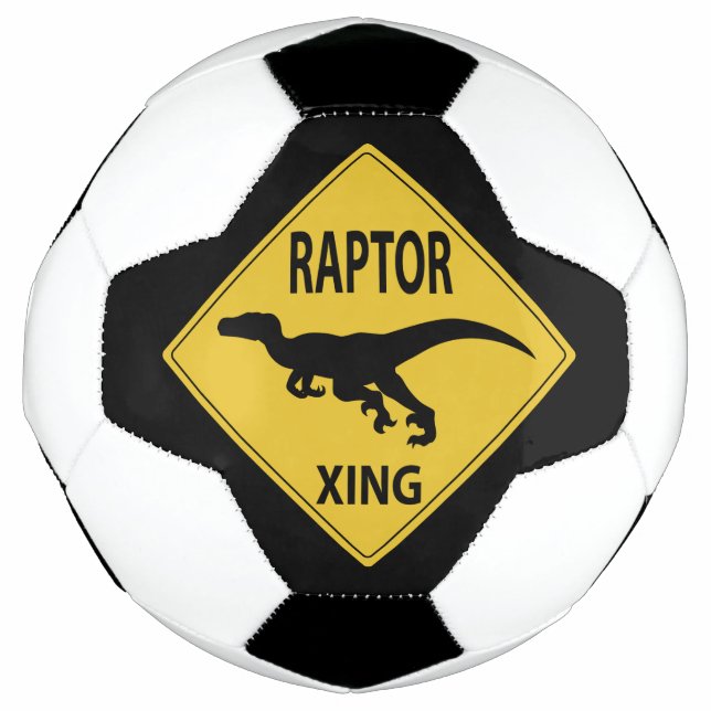 Raptor Xing Fußball (Vorderseite)