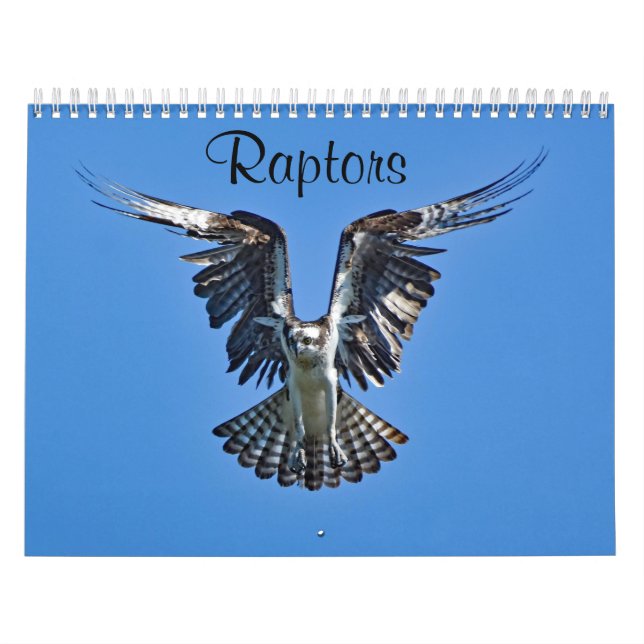 Raptoren Kalender (Titelbild)